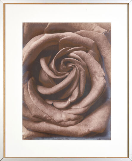 Denis Brihat, ‘The rose’