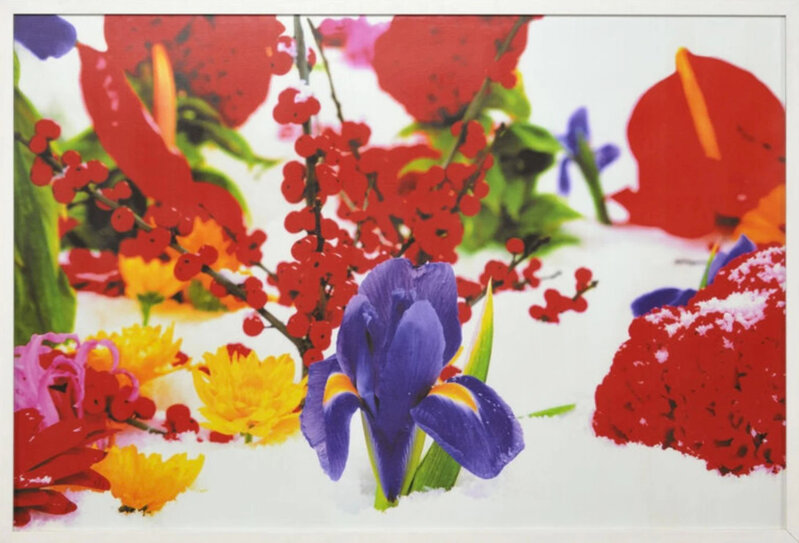 Marc Quinn, ‘Winter Garden’, 2004, Photography, Color pigment print, Artsy x Capsule Auctions