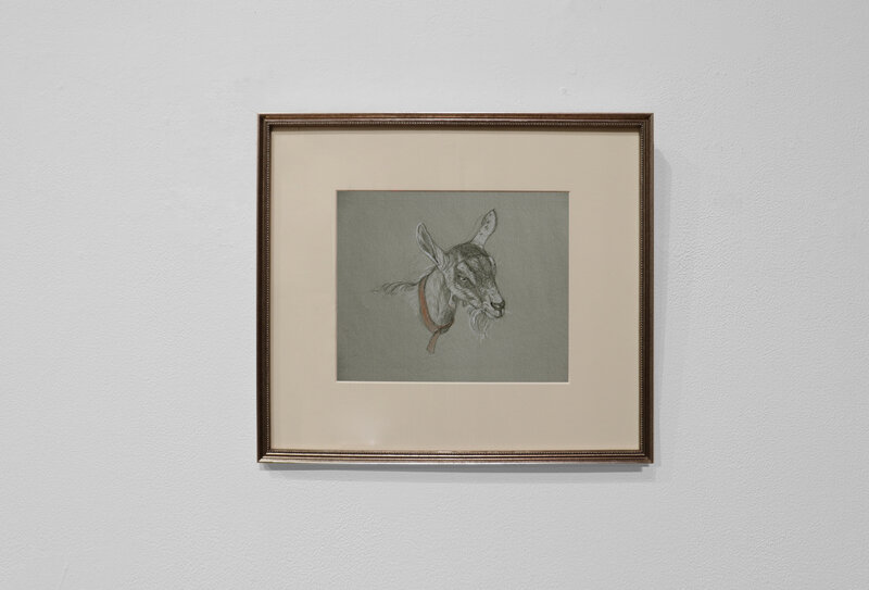 Patricia Traub, ‘Goat with Orange Collar’, 2018, Drawing, Collage or other Work on Paper, Charcoal, Graphite, White Chalk, & Red Pastel on Paper, Gallery Henoch
