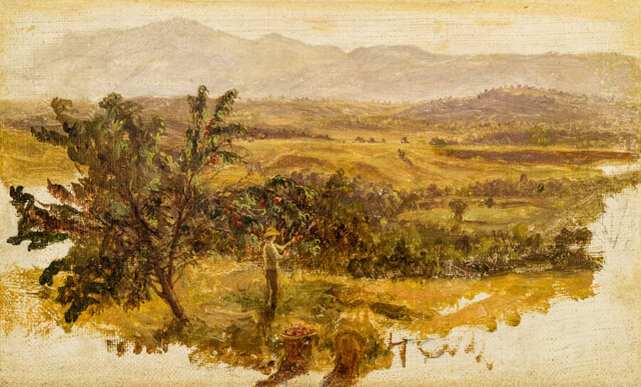 Picking Apples