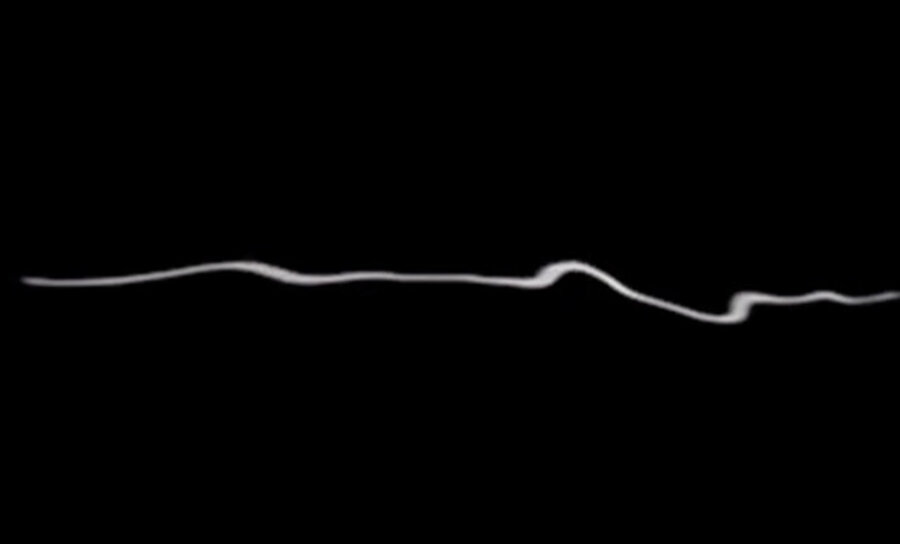 10dm004