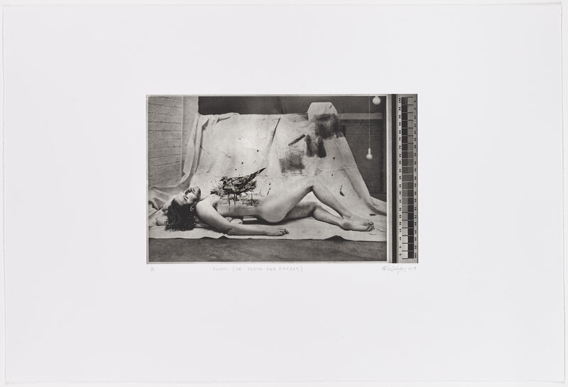 Mikhael Subotzky, ‘Blood (or Flesh Fur Faeces)’, 2019, Print, Photogravure and inkjet print on surface gampi 160gsm and Hahnemühle White 300gsm, David Krut Projects
