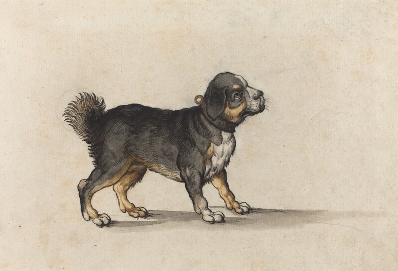 Jakob Walther, ‘A Mastiff with a Gold-Tooled Collar’, Drawing, Collage or other Work on Paper, Pen and black ink with gray and brown wash, with touches of gold ink, over traces of black chalk on laid paper, National Gallery of Art, Washington, D.C.