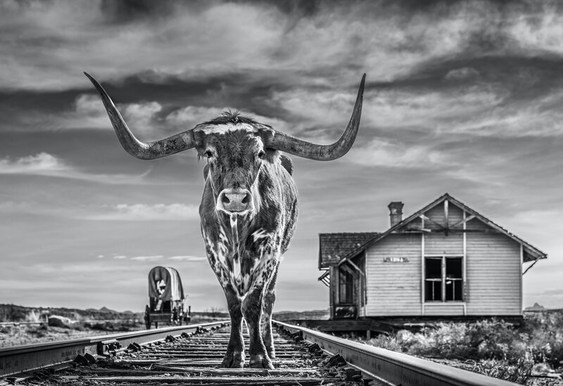 David Yarrow, ‘The End of The Line ’, 2020, Photography, Archival Pigment Print, Samuel Lynne Galleries