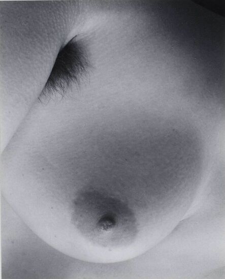Edward Weston, ‘Nude’, 1935