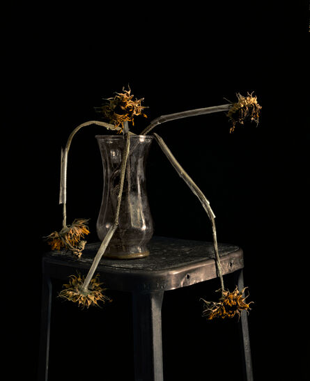 Brigitte Lustenberger, ‘Flowers XXII’, 2011