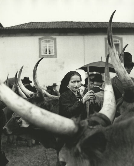 Ormond Gigli, ‘Girl with Oxen, Portugal’, 1952