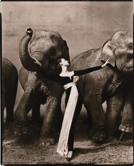 Richard Avedon, ‘Dovima with elephants, Evening dress by Dior, Cirque d'Hiver, Paris, August ’, 1955
