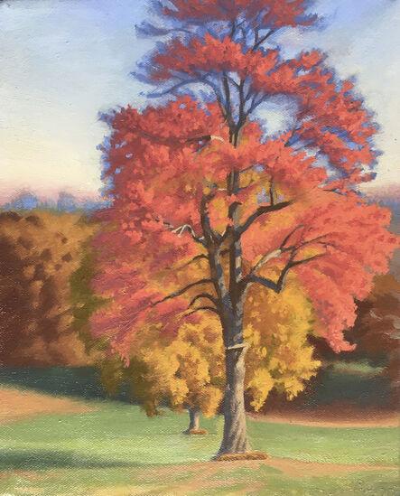 Ed Stitt, ‘Autumn Sunny Trees, Larz Morning’, 2020