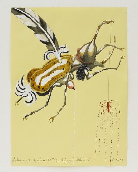 Andrew Gilbert, ‘Andrew saw this beetle in 1879’, 2013