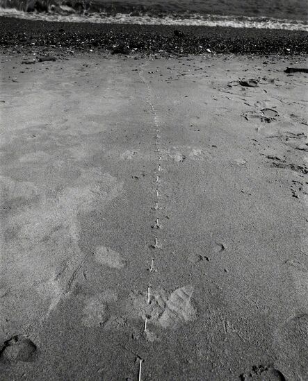 Maria Laet, ‘Untitled (Areia, Londres | Sand, London)’, 2008-2013