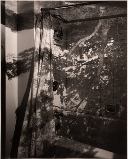 Abelardo Morell, ‘Camera Obscura:  Tree in Bathroom’, 1999