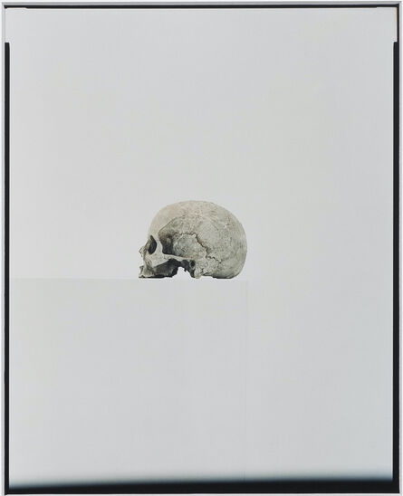 Eric Poitevin, ‘Sans titre (Crânes)’, 2010-2020
