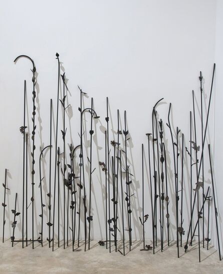 Sheela Gowda, ‘Cut Flowers’, 2011