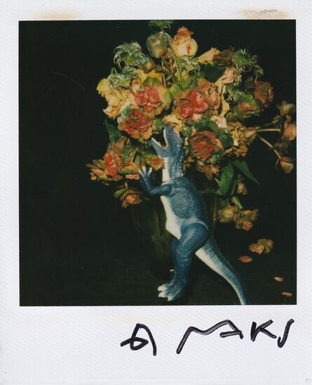 Nobuyoshi Araki, ‘Flower polaroid’, 2000