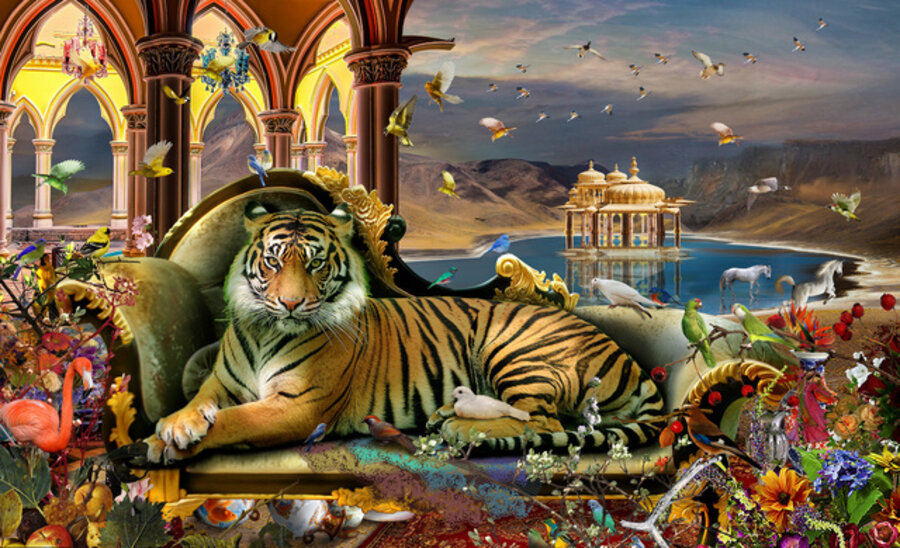 Freedom of the Wild