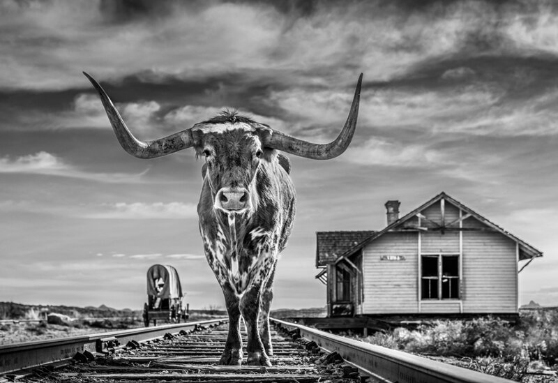 David Yarrow, ‘The End of The Line’, 2020, Photography, Archival Pigment Print, Hilton Contemporary