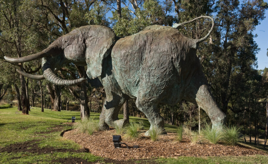 Life-size Charging Elephant
