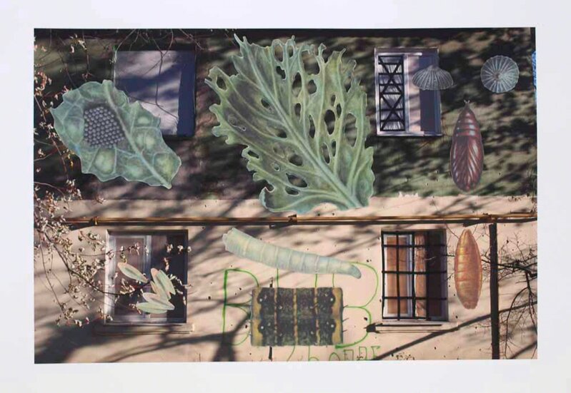 Nikita Kadan, ‘Protection of Plants’, 2014-2015, Drawing, Collage or other Work on Paper, Collage on paper, waterside contemporary