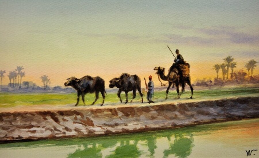 Egyptian Buffalo and Farmers. Egypt