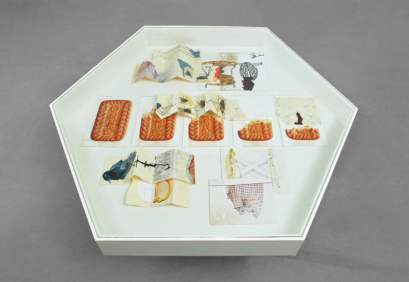 Jitish Kallat, ‘Afterword (versions of a disappearing act)’, 40483, Mixed Media, Wax, oil, acrylic, enamel paint, graphite, ink, tracing paper and paper collage and mixed media on paper, in 14 parts, in glass top table, Phillips
