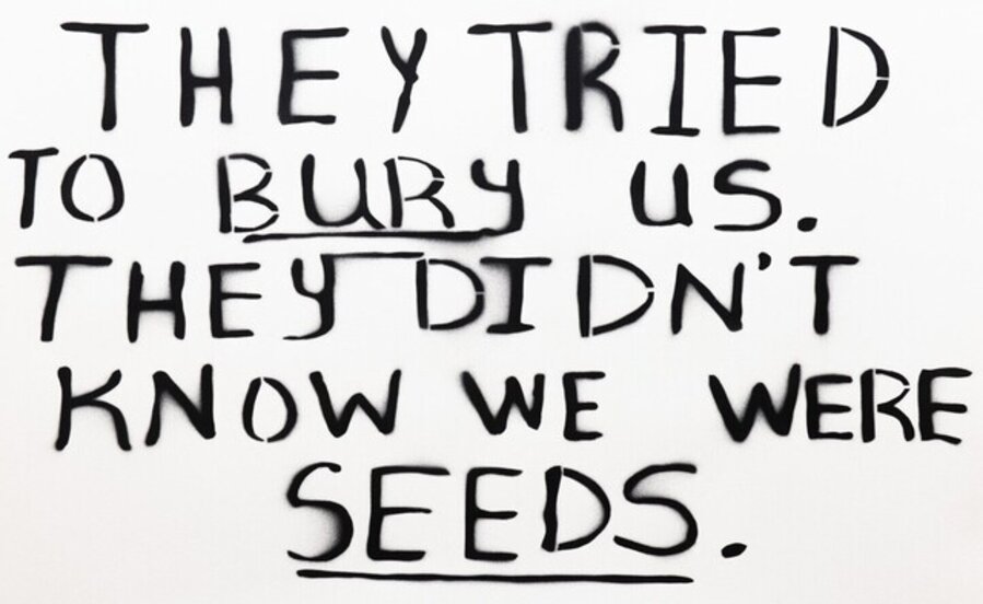 They Tried To Bury Us But They Didn't Know We Were Seed