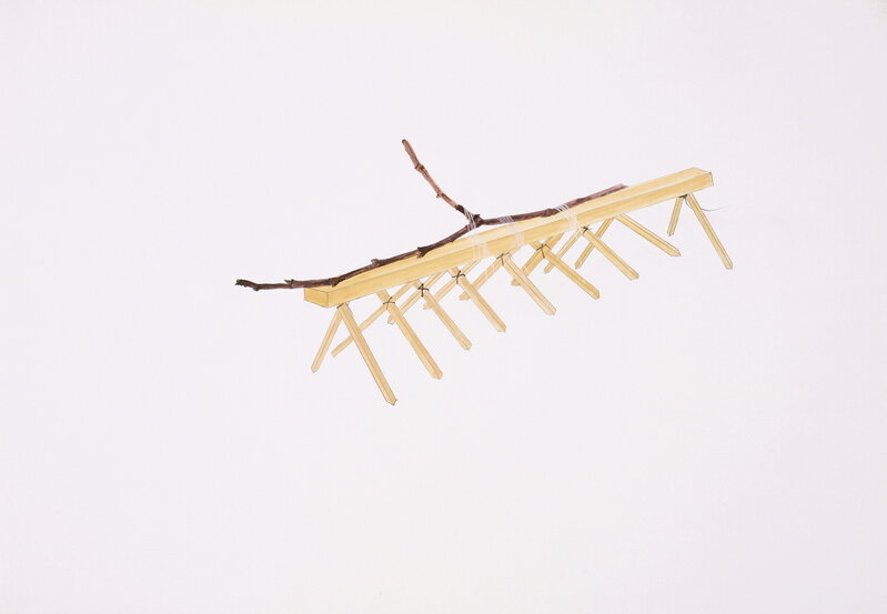 Leehaiminsun, ‘Plant Erectus’, 2011, Drawing, Collage or other Work on Paper, Water color on Paper, Gallery SoSo