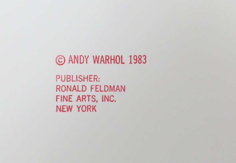 Andy Warhol, ‘Siberian Tiger from Endangered Species (FS II.297)’, 1983, Print, Screenprint on Lenox Museum Board, RoGallery