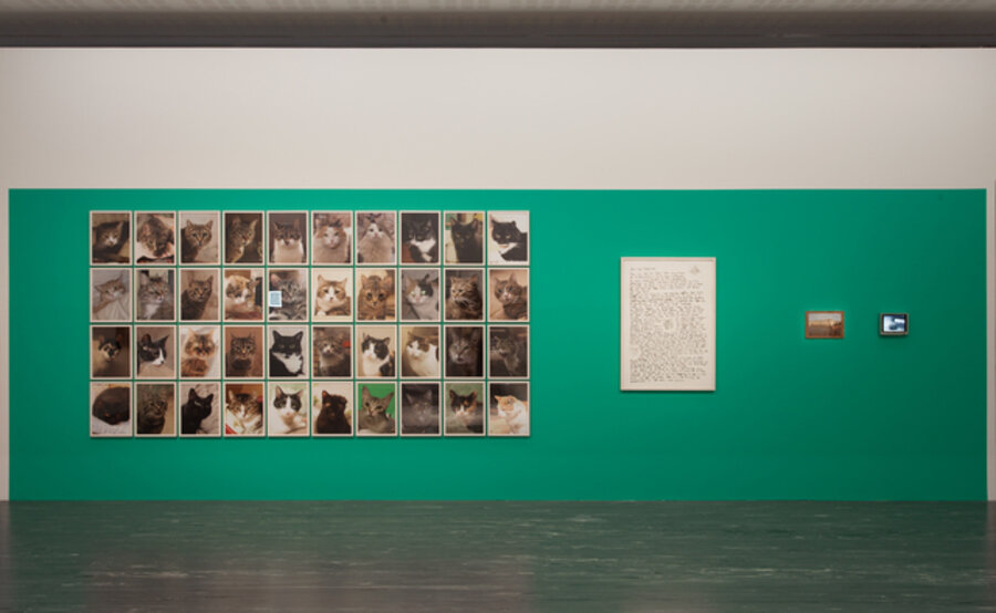 Still Untitled (Hermitage Cats)