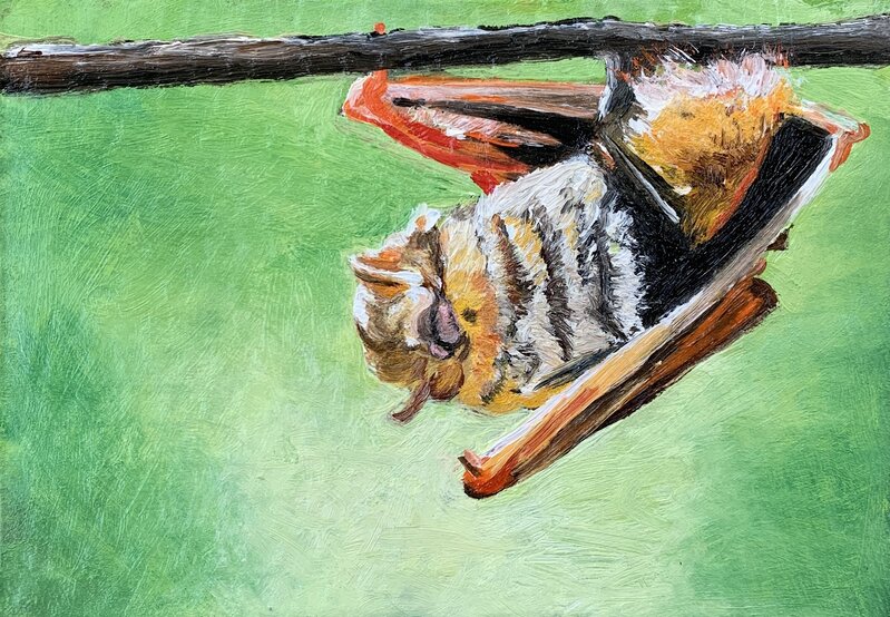 Ken Craft, ‘Movement 2 Galapagos Red Bat’, 2020, Painting, Oil on cardboard and found panel, Ro2 Art