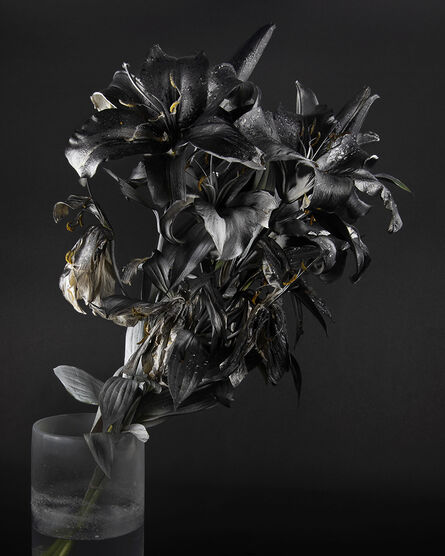 Stephanie Syjuco, ‘Blackout (Krylon ColorMaster Gloss Black on White Oriental Lilies Sprayed Gloss White)’, 2019
