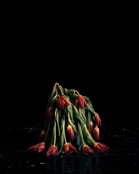 Brigitte Lustenberger, ‘Flowers V’, 2010