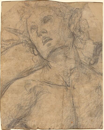 Luca Signorelli, ‘Bust of a Youth Looking Upward [recto]’, ca. 1500