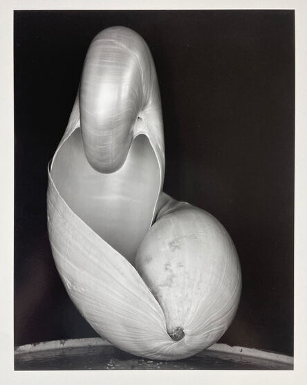 Edward Weston, ‘Two Shells’, 1927