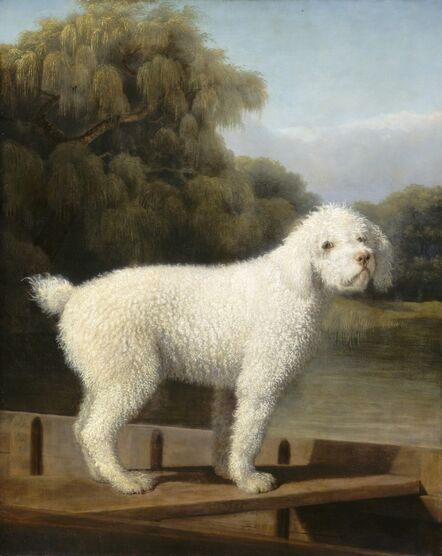 George Stubbs, ‘White Poodle in a Punt’, ca. 1780