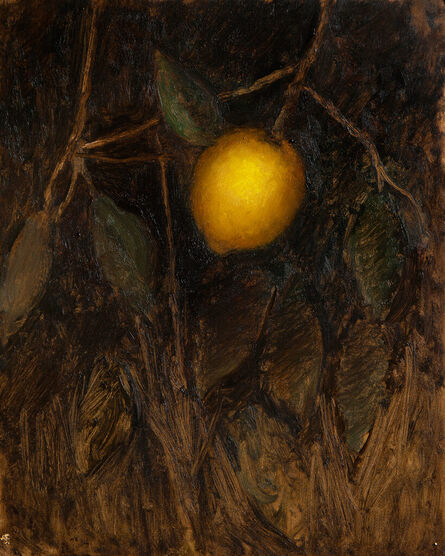 James Zamora, ‘Lemon Tree Study’, 2022