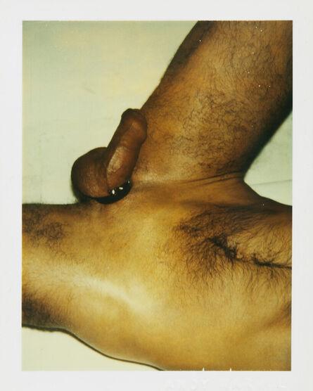 Andy Warhol, ‘Color Polaroid ‘Sex Parts and Torsos’ by Andy Warhol’, ca. 1977
