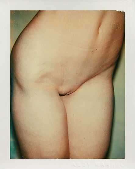 Andy Warhol, ‘Nude Model (Venus)’, 1977