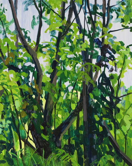 Claire Sherman, ‘Trees and Vines’, 2018