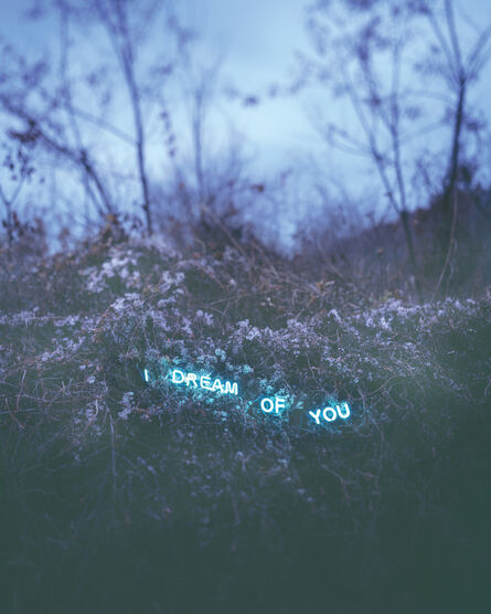 Jung Lee, ‘I Dream Of You’, 2012