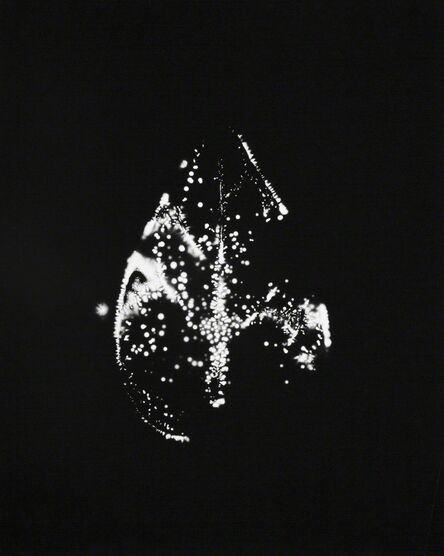 Wataru Yamamoto, ‘Unknown 4, from the series "Leaf of Electric Light"’, 2012