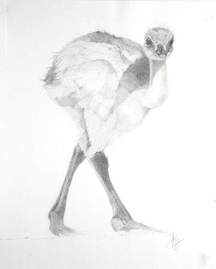 Heather Lancaster, ‘Baby Ostrich’, 2015