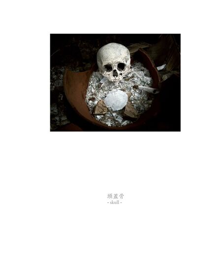 Osamu James Nakagawa, ‘skull’, 2001-2009
