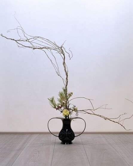 anothermountainman (Stanley Wong), ‘anothermountainman x Shuho - reborn ikebana - 04A’, 2011