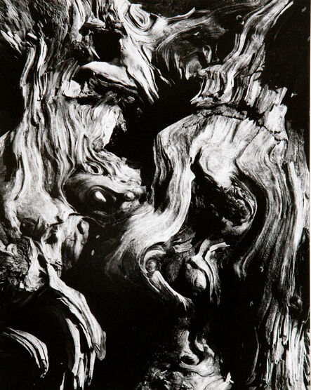 Brett Weston, ‘Untitled (Tree Bark Abstraction)’, 1970