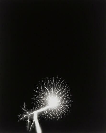 Hiroshi Sugimoto, ‘Lightning Fields 145’, 2009