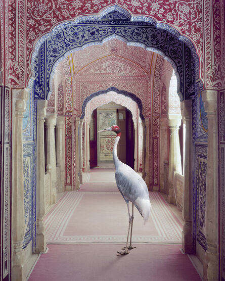 Karen Knorr, ‘A Faithful Companion, Samode Palace, India Song’, 2020