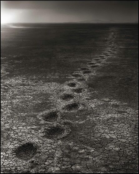 Nick Brandt, ‘Elephant Footprints, Amboseli 2012’, 2012