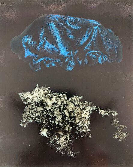 Jerry Uelsmann, ‘Untitled, 1968 (Blue Fabric and Lichen Abstract)’, 1968