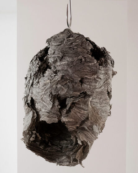 Ragini Bhow, ‘Untitled (found object)’, 2022